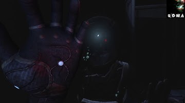 Looking In The Mirror (Incredible and Terrifying) SOMA