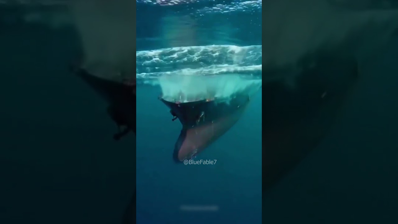 The Ocean’s Black Hole: Mystery of the Indian Ocean | BlueFable | 