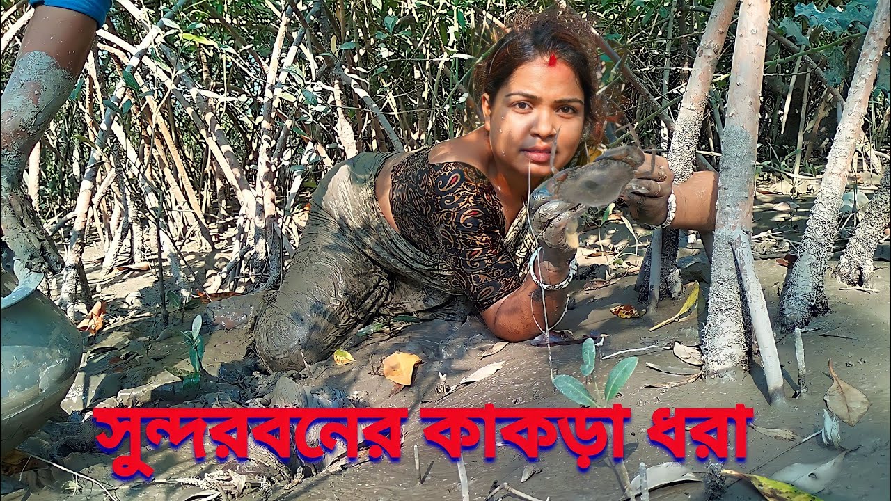 আজ সুন্দরবনের গভীর জঙ্গলে কাকড়া ধরতে  এলাম । সুন্দরবনের কাকড়া ধরা । Catching river crabs
