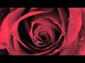 La oreja de van gogh, Rosas con letra