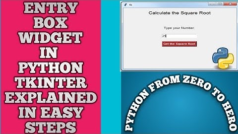 Entry Box Widget python | Python TextField | Python TextBox | Python Input field |Python Tkinter - 4