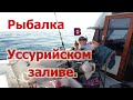 Ловля камбалы в Уссурийском заливе. Рыбалка на море Приморский край.