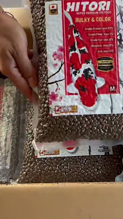 Mencoba pakan lokal dari HITORI #fish #bali #koi #pakankoilokal