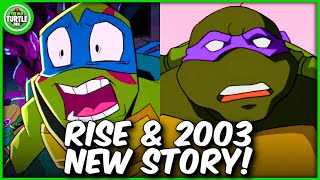 1 More 2003 & Rise of The Teenage Mutant Ninja Turtles Story?