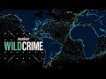 Illegal Fishing and Its Global Impact