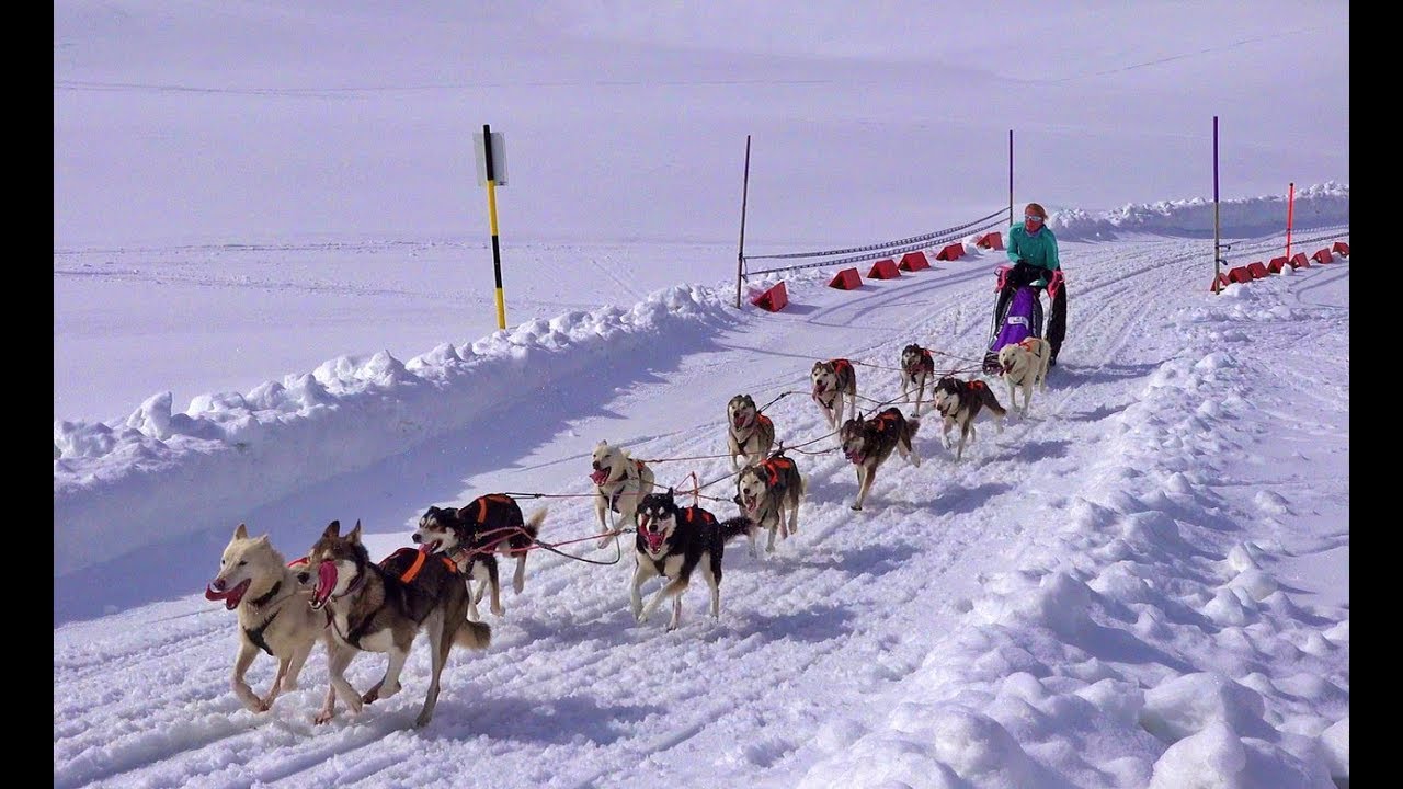 New 20. Internationales Schlittenhunderennen in Sportgastein 2019 _ 4 K