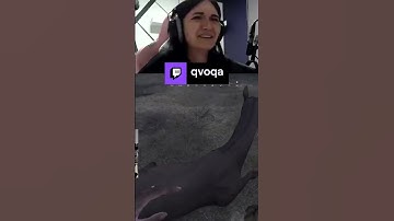 7000 часов в игре | qvoqa | #huntshowdown #hunt #gaming #Twitch #crytek #shorts #stream