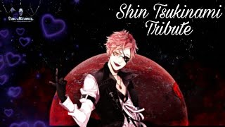 ☆Shin Tsukinami☆ [Tribute]