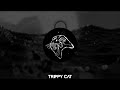 Melodic Techno &amp; House Mix 2022 Winter | Trippy Cat Music