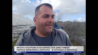 «Πνίγηκαν» καλλιέργειες στον δήμο Πηνειού