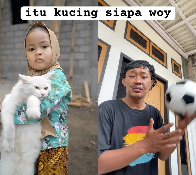 give the cat back #trandingshorts #ngkak #funny #comedy #lucu