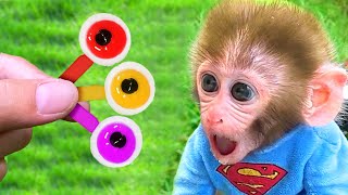Monkey Baby BonBon  Eats Marshmallows and Harvests Eye Candy with Cute Puppy  - Crew BonBon