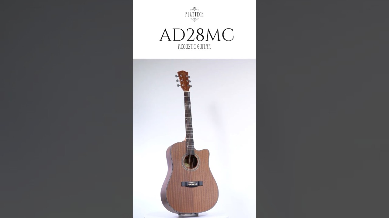 AD28MC アコースティックギター / PLAYTECH #サウンドハウス #ギター