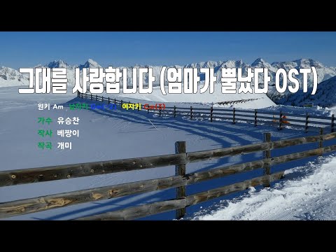 은성 반주기 그대를사랑합니다 엄마가뿔났다OST 유승찬