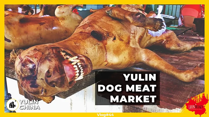 Want to Eat Dog Meat? - Selling Dog Meat at Yulin City in China!! - DayDayNews