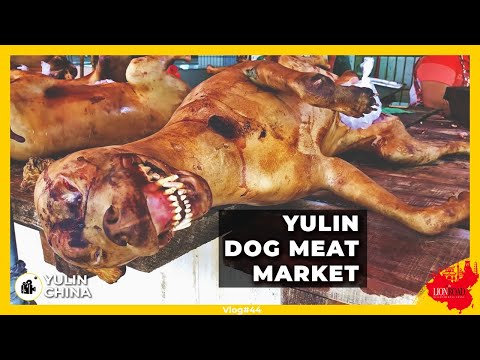 فيديو: مهرجان Yulin Dog Meat Meat: تاريخ معاناة وخلاف