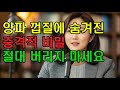 &quot;양파로 혈관이 열리고 암세포가 줄었다?”치매·당뇨·고혈압에 놀라운 효과를 보인 7가지 활용법｜노후 건강 지키는 양파 루틴 공개｜삶의지혜｜건강정보｜시니어필수