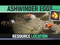 Hogwarts legacy  ashwinder eggs location  how to get