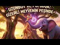 UZUNBOY VE POFUDUK: GİZEMLİ MEYVENİN PEŞİNDE | Eğitici Çocuk Masalları