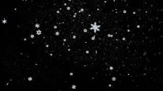 Background Video Salju Turun | Snow Fall video