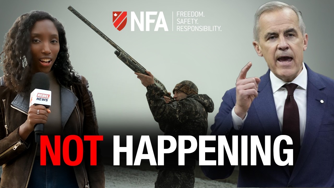 The liberal gun grab has turned into a disaster...