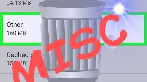 Deleting MISC & "Other" files