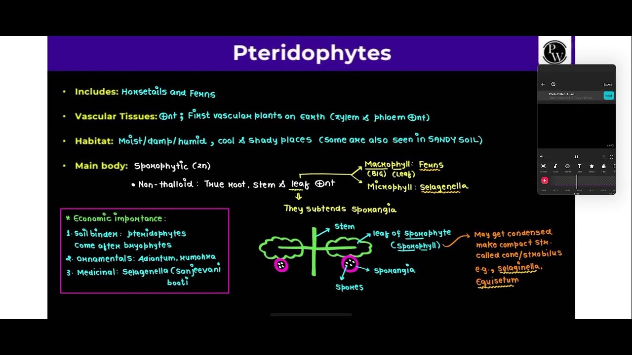 Plant Kingdom part 2