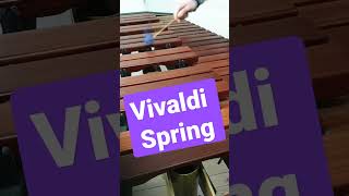 Vivaldi Spring on Marimba #spring #marimba