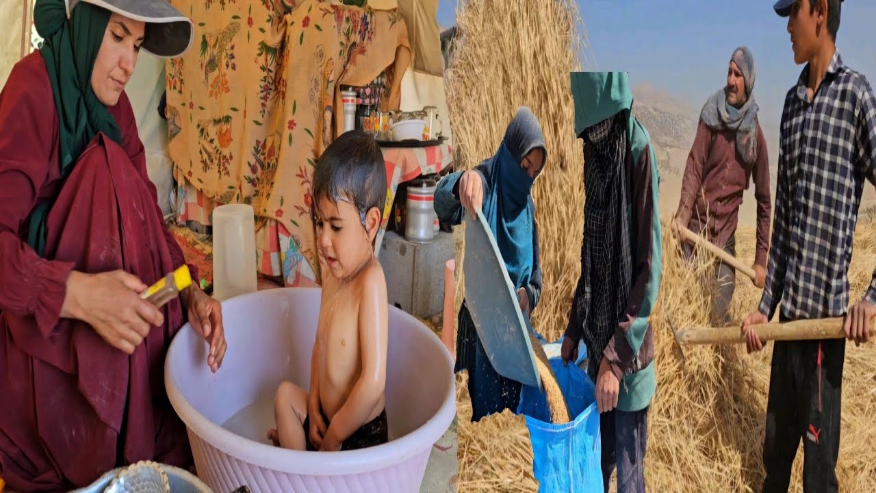 Призыв Марии: может ли Всемирный совет изменить будущее?