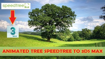 How to Export Animated Tree SpeedTree to 3Ds Max (Tutorial)
