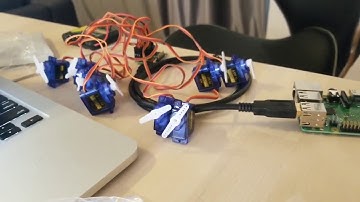 SG90 Servos, Pololu Mini Maestro 12-Channel servo Controller, Raspberry Pi 3 B+ setup