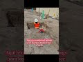 Aqui excavando los Footings para los Piers Maintenance Building .#k&gconcreteoficial