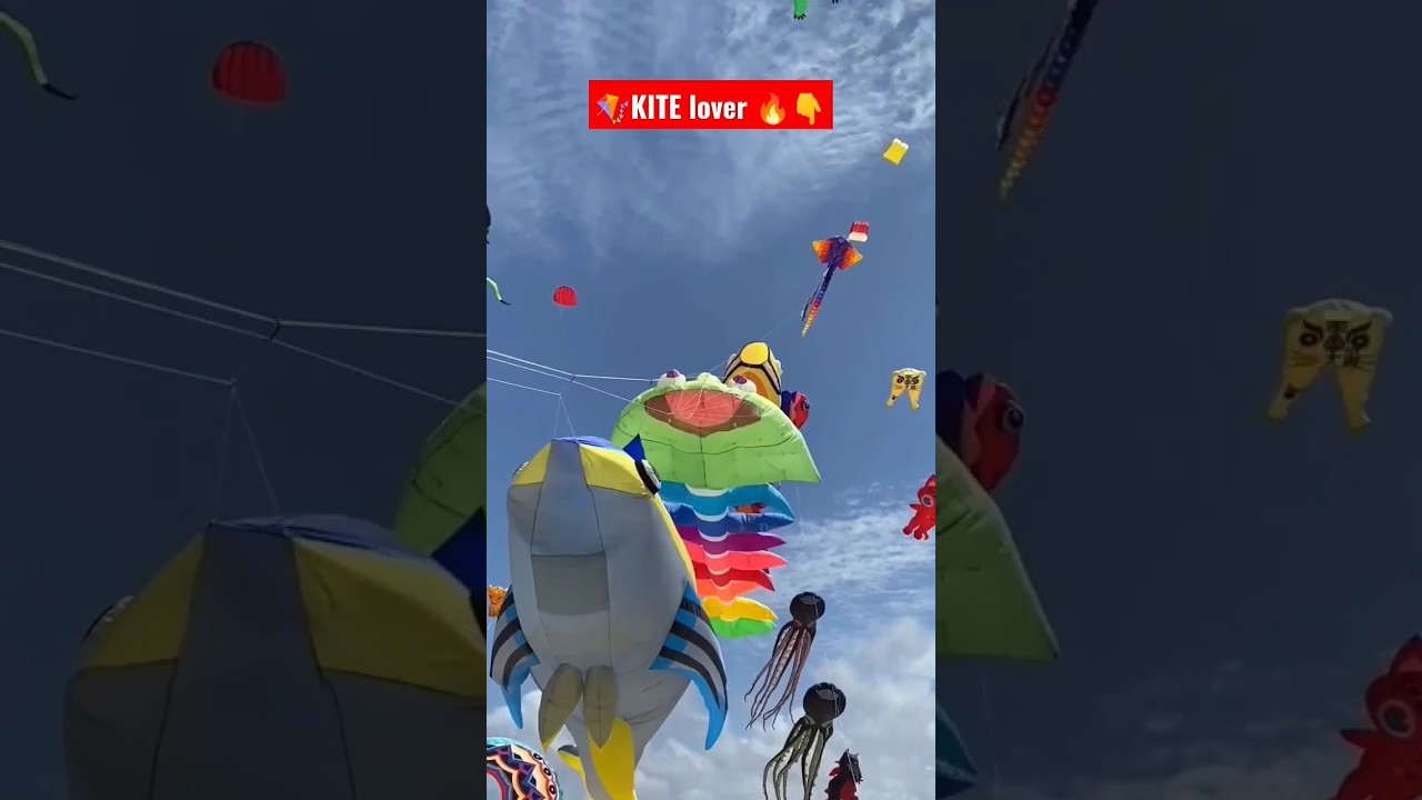 ⭕Different types of Kite fair 🪁 || Kite fair || Kite festival || 