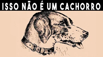 Como percebemos a realidade?