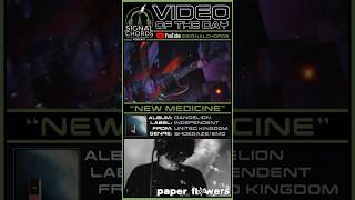 PAPER FLOWERS-“New Medicine” Video of the Day!