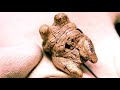 Objetos Mas antiguos del Mundo descubiertos