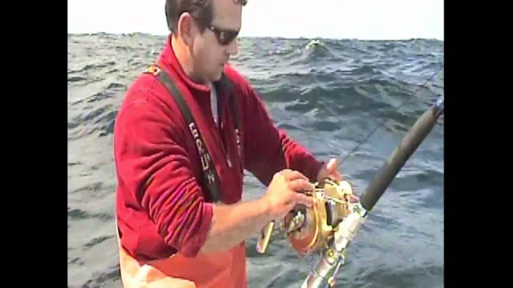 GIANT BLUEFIN TUNA ON HORSE MACKEREL