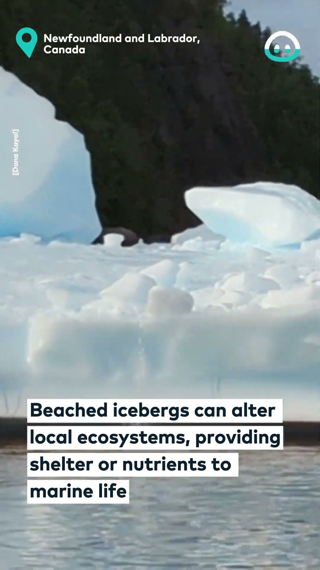 Beached Icebergs In Canada || ViralHog