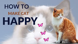 Funny animals Videos 2023 10 Cat Facts| Compilation  Cute moment of the Cutest Animals | Birman #4k