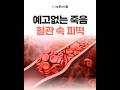 혈관 속 피떡 정말 위험해요🚨