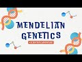 Mendelian Genetics Quiz