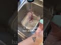                                               نجومي