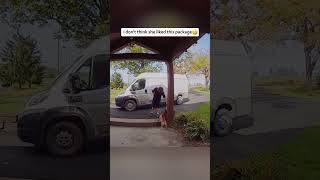 Dogs And Delivery Guys