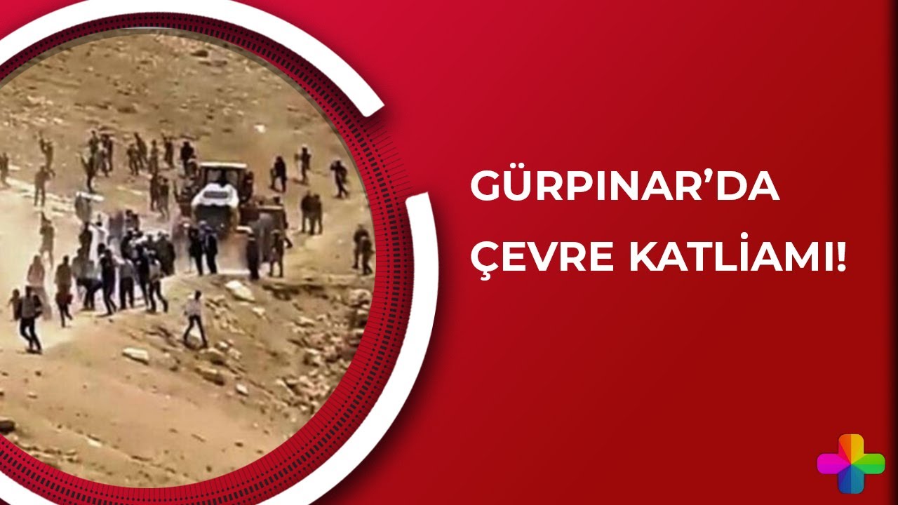 Gürpınar'da çevre katliamı!