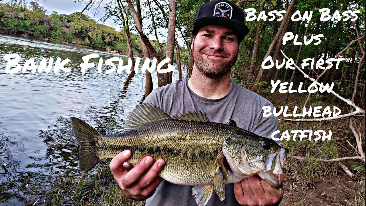 Bank Fishing Brazos River Catching Bass And Yellow Bullhead Catfish