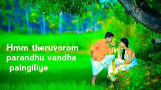 Theruvorom paranthu vantha kiliye lyrics song / avatharam album song
