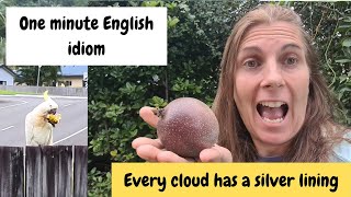 Every cloud has a silver lining, 1 minute English idioms
