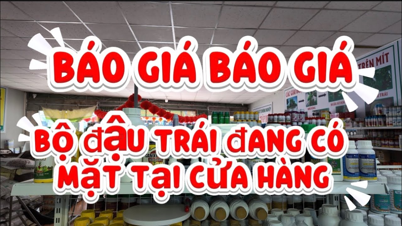 ☘️ Giải pháp giúp cây đậu trái bền !  #basieu #saurieng #anphatnong 