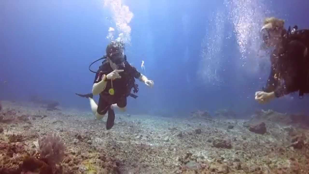 GILI DIVERS INTRO | 15th July, 2014 - YouTube