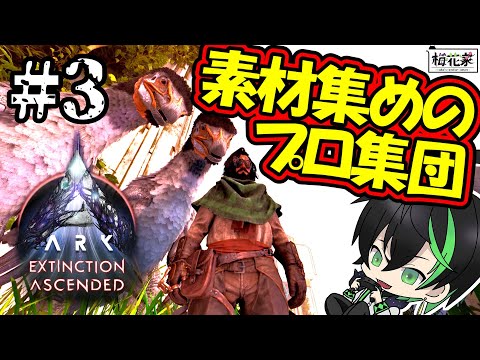 【真面目ASA】#3 家を建てるなら木材と石を集めるのです【ARK: Survival Ascended】#梅花家の日常